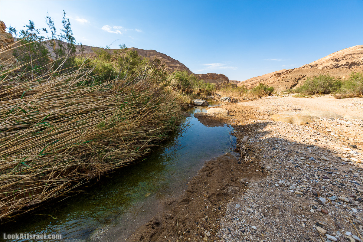 Гора Саароним, ручей Некарот и вода в ущелье Парсат Некарот | LookAtIsrael.com - Фото путешествия по Израилю