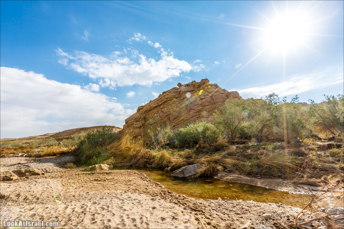 Гора Саароним, ручей Некарот и вода в ущелье Парсат Некарот | LookAtIsrael.com - Фото путешествия по Израилю