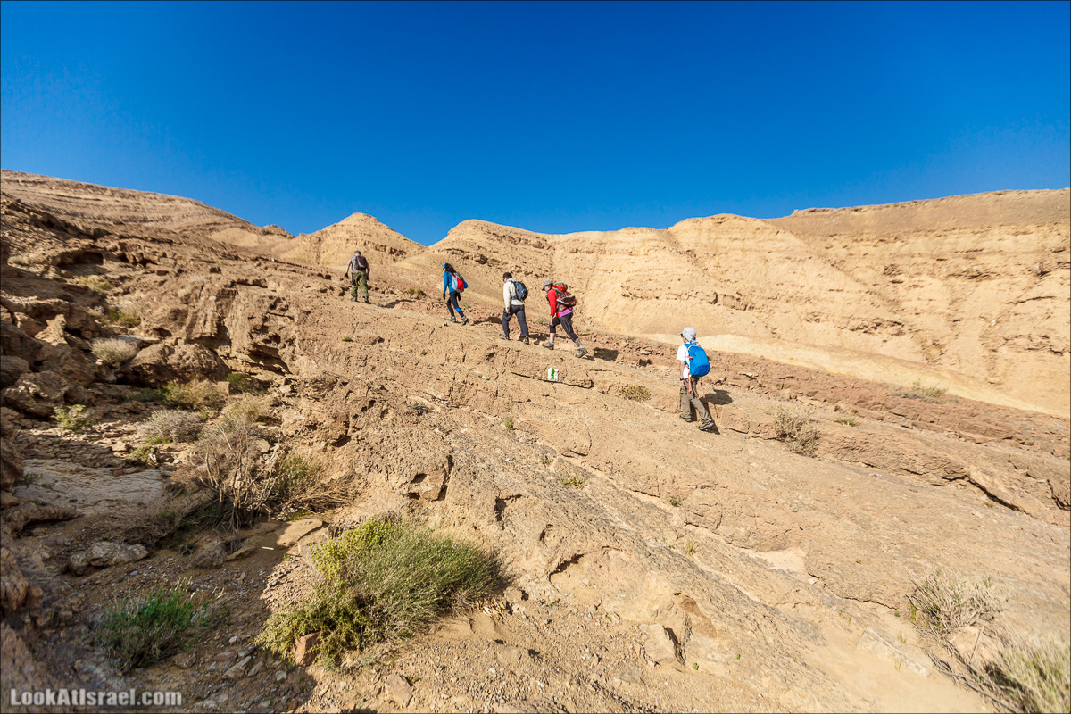 Гора Саароним, ручей Некарот и вода в ущелье Парсат Некарот | LookAtIsrael.com - Фото путешествия по Израилю