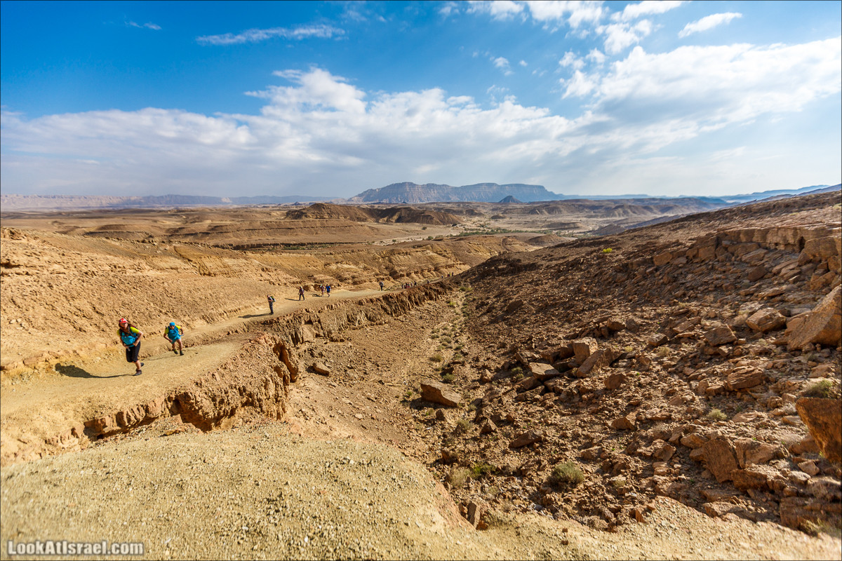 Гора Саароним, ручей Некарот и вода в ущелье Парсат Некарот | LookAtIsrael.com - Фото путешествия по Израилю
