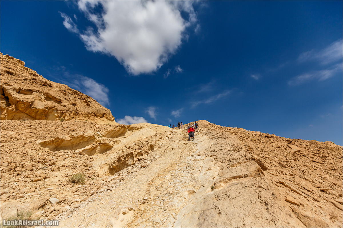 Гора Саароним, ручей Некарот и вода в ущелье Парсат Некарот | LookAtIsrael.com - Фото путешествия по Израилю