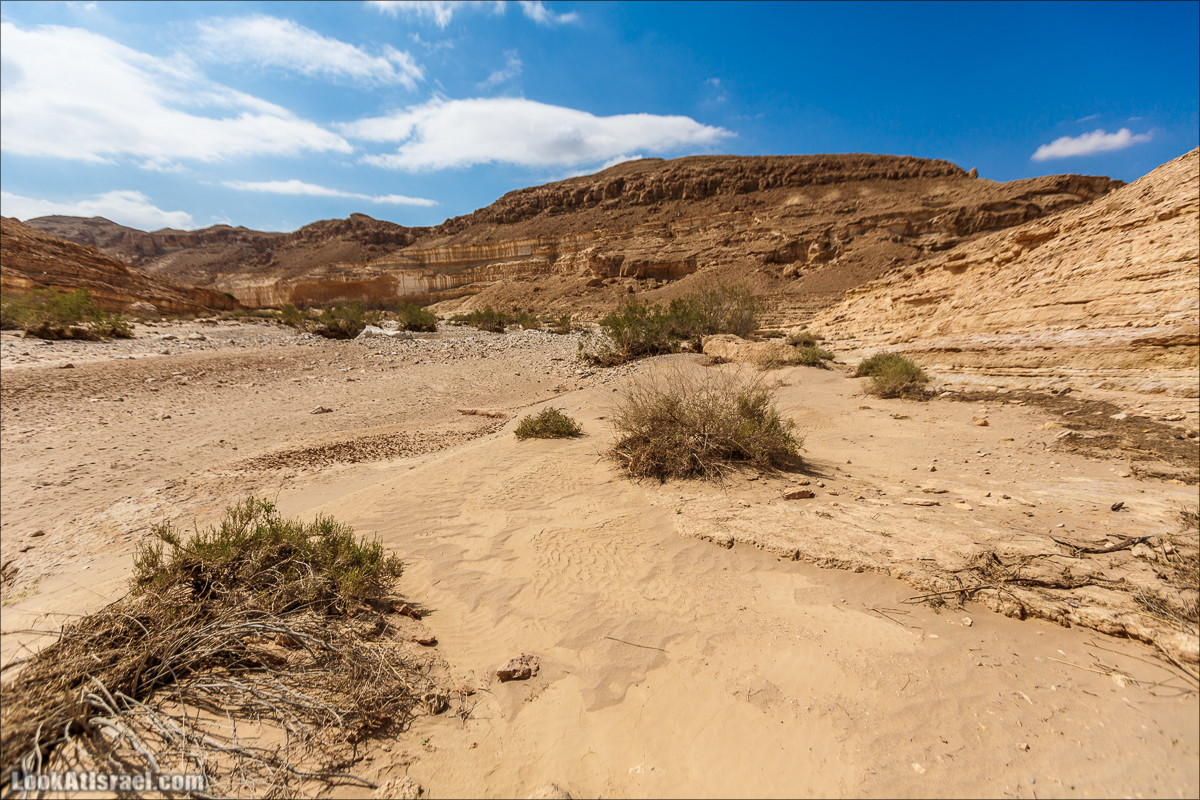 Гора Саароним, ручей Некарот и вода в ущелье Парсат Некарот | LookAtIsrael.com - Фото путешествия по Израилю