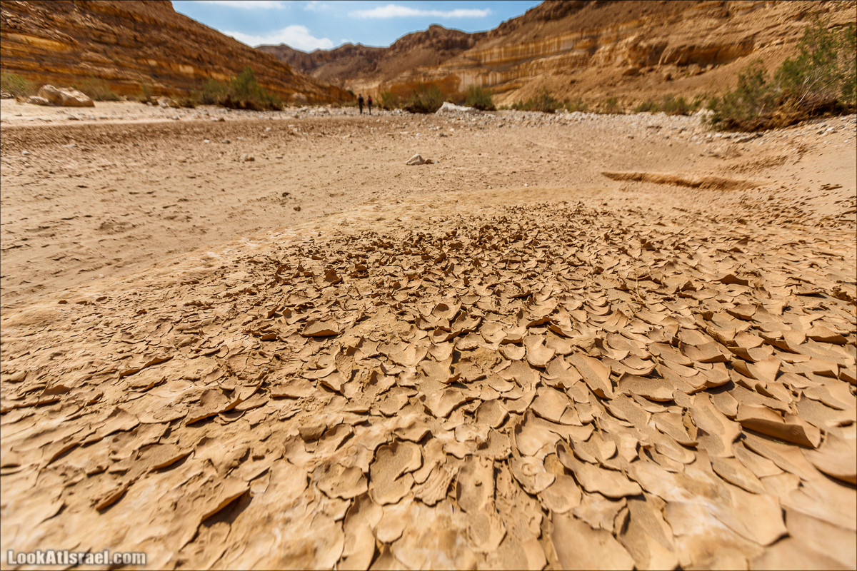 Гора Саароним, ручей Некарот и вода в ущелье Парсат Некарот | LookAtIsrael.com - Фото путешествия по Израилю