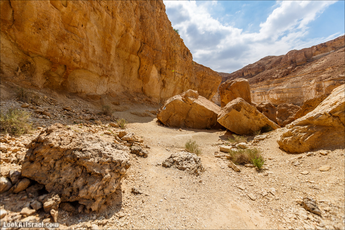 Гора Саароним, ручей Некарот и вода в ущелье Парсат Некарот | LookAtIsrael.com - Фото путешествия по Израилю