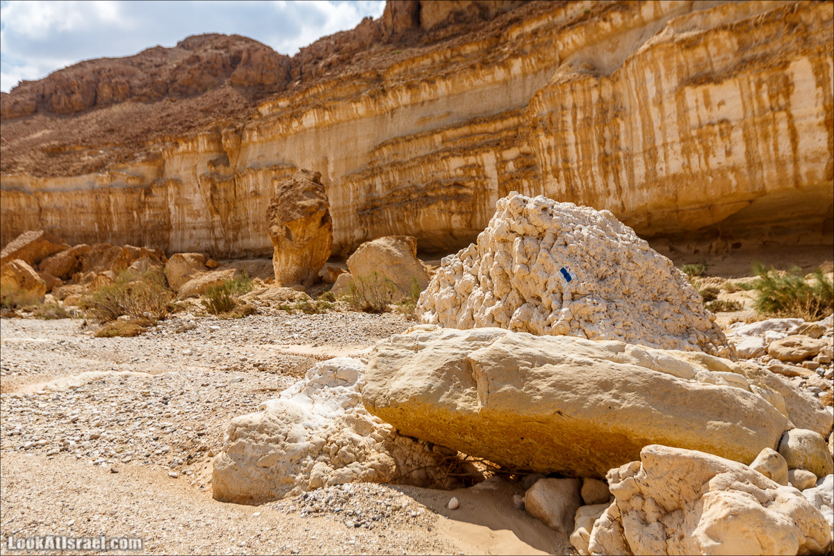 Гора Саароним, ручей Некарот и вода в ущелье Парсат Некарот | LookAtIsrael.com - Фото путешествия по Израилю
