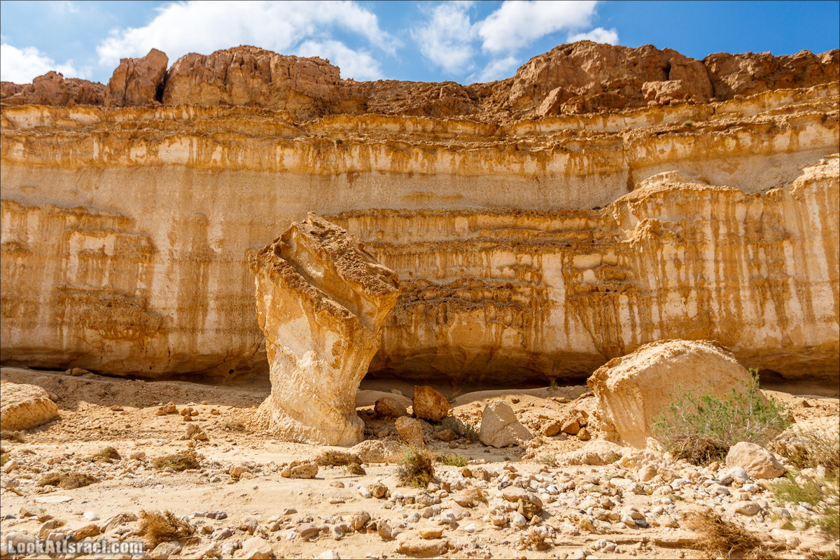 Гора Саароним, ручей Некарот и вода в ущелье Парсат Некарот | LookAtIsrael.com - Фото путешествия по Израилю