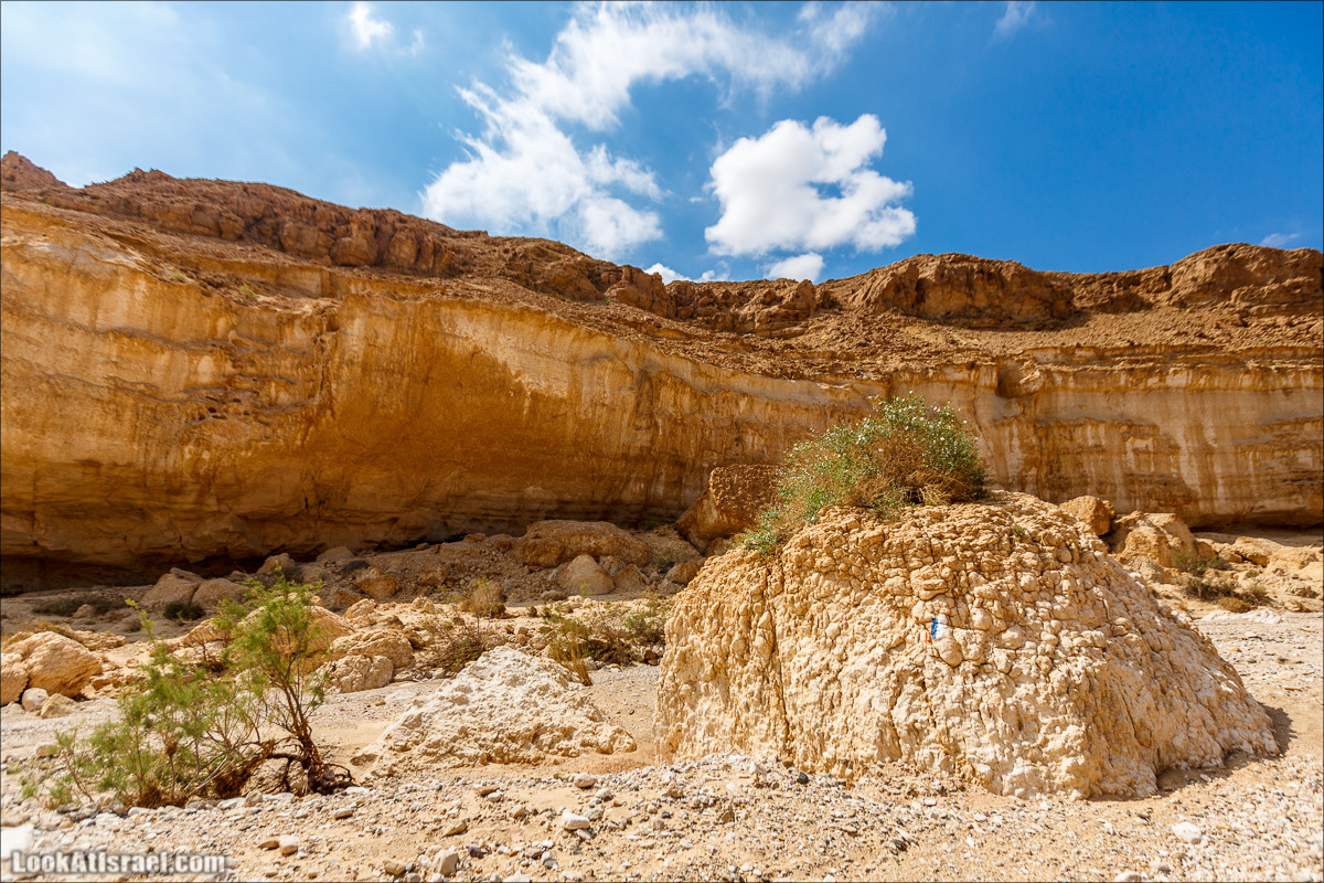 Гора Саароним, ручей Некарот и вода в ущелье Парсат Некарот | LookAtIsrael.com - Фото путешествия по Израилю