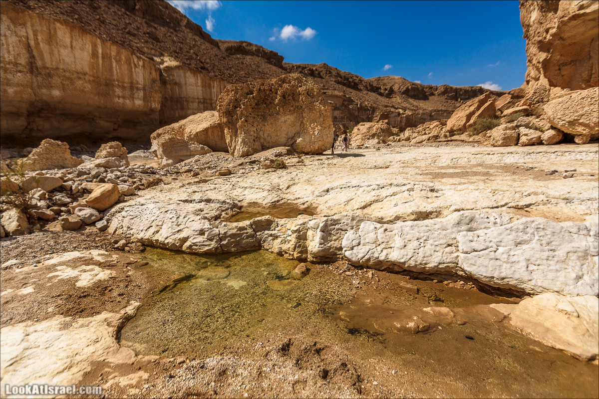 Гора Саароним, ручей Некарот и вода в ущелье Парсат Некарот | LookAtIsrael.com - Фото путешествия по Израилю