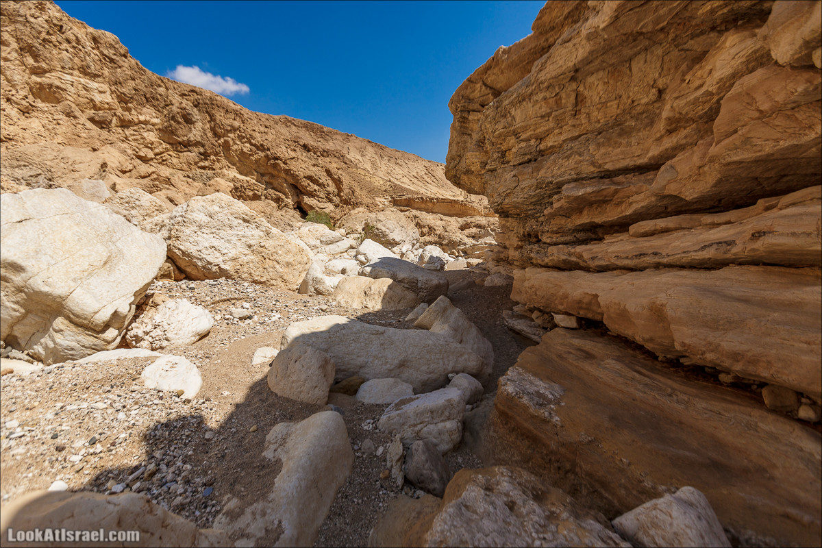 Гора Саароним, ручей Некарот и вода в ущелье Парсат Некарот | LookAtIsrael.com - Фото путешествия по Израилю