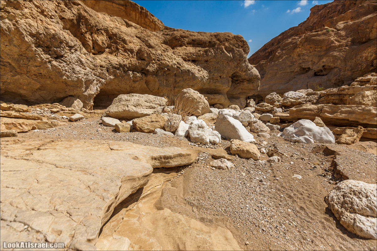 Гора Саароним, ручей Некарот и вода в ущелье Парсат Некарот | LookAtIsrael.com - Фото путешествия по Израилю