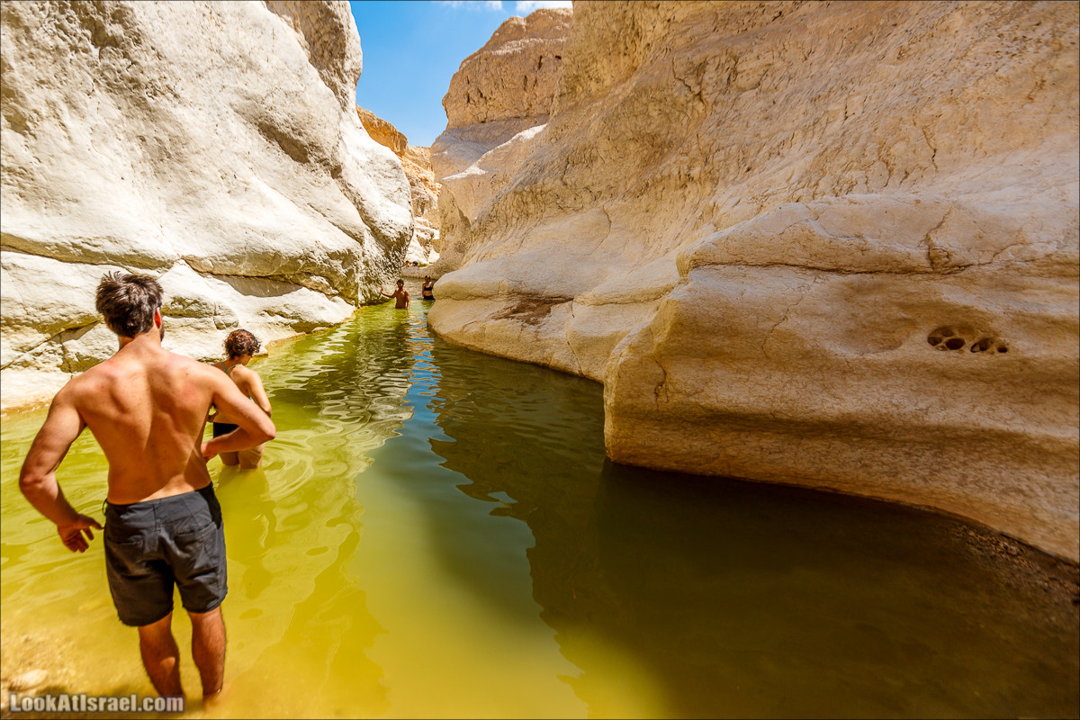 Гора Саароним, ручей Некарот и вода в ущелье Парсат Некарот | LookAtIsrael.com - Фото путешествия по Израилю
