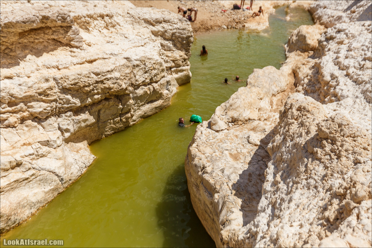 Гора Саароним, ручей Некарот и вода в ущелье Парсат Некарот | LookAtIsrael.com - Фото путешествия по Израилю