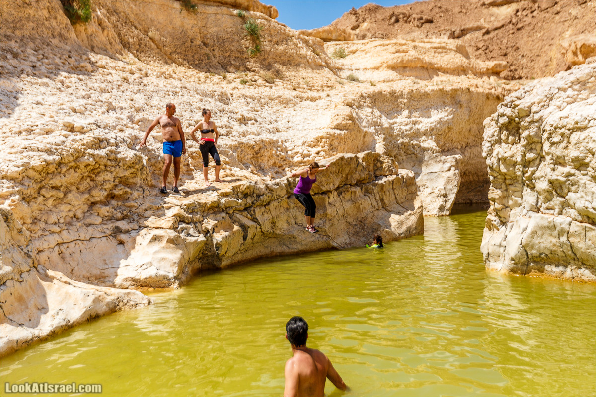 Гора Саароним, ручей Некарот и вода в ущелье Парсат Некарот | LookAtIsrael.com - Фото путешествия по Израилю