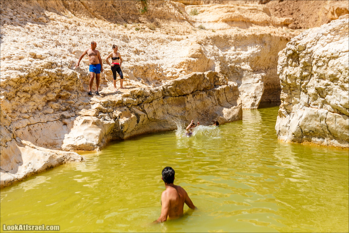 Гора Саароним, ручей Некарот и вода в ущелье Парсат Некарот | LookAtIsrael.com - Фото путешествия по Израилю