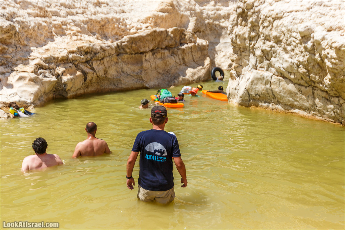 Гора Саароним, ручей Некарот и вода в ущелье Парсат Некарот | LookAtIsrael.com - Фото путешествия по Израилю