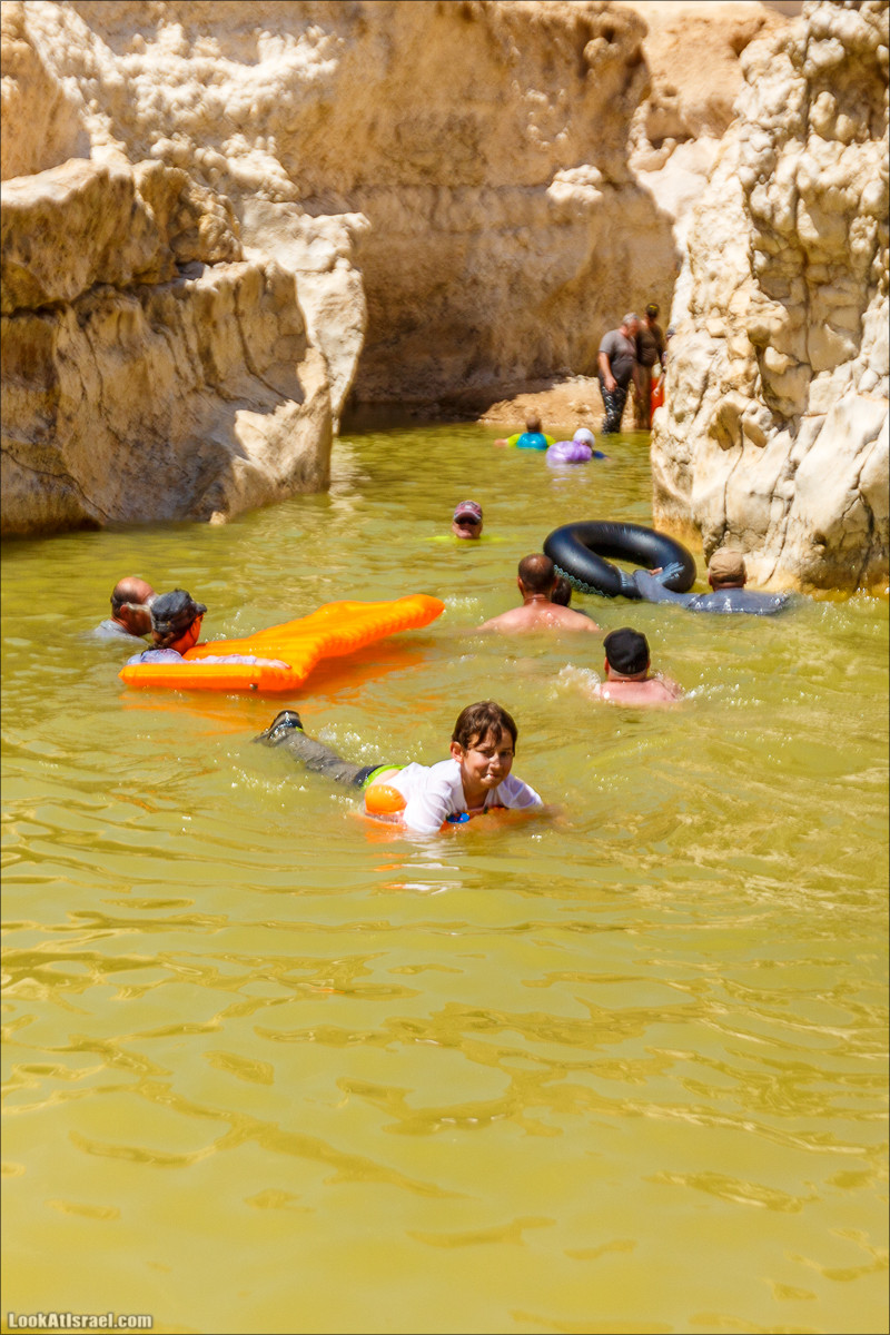 Гора Саароним, ручей Некарот и вода в ущелье Парсат Некарот | LookAtIsrael.com - Фото путешествия по Израилю