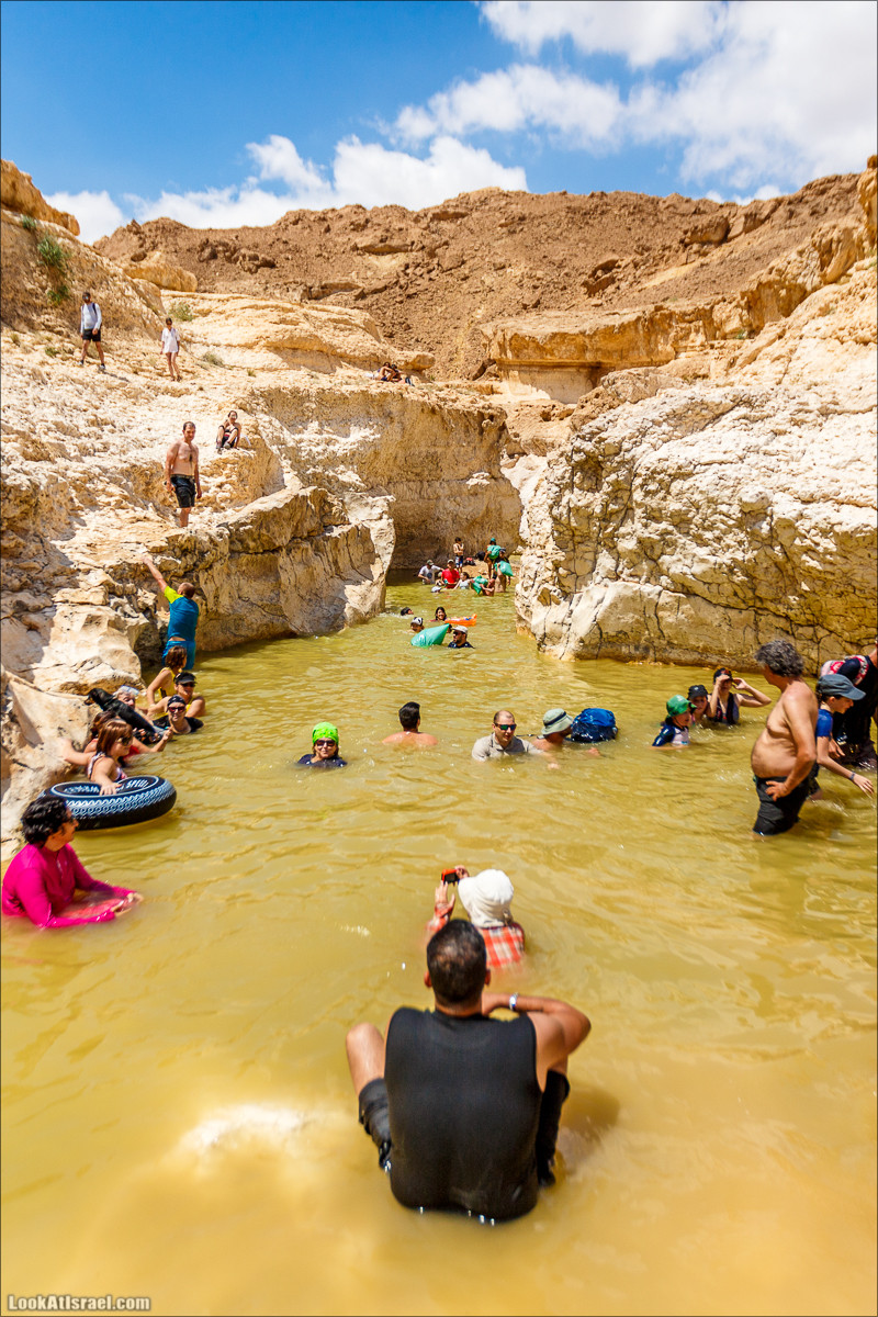 Гора Саароним, ручей Некарот и вода в ущелье Парсат Некарот | LookAtIsrael.com - Фото путешествия по Израилю