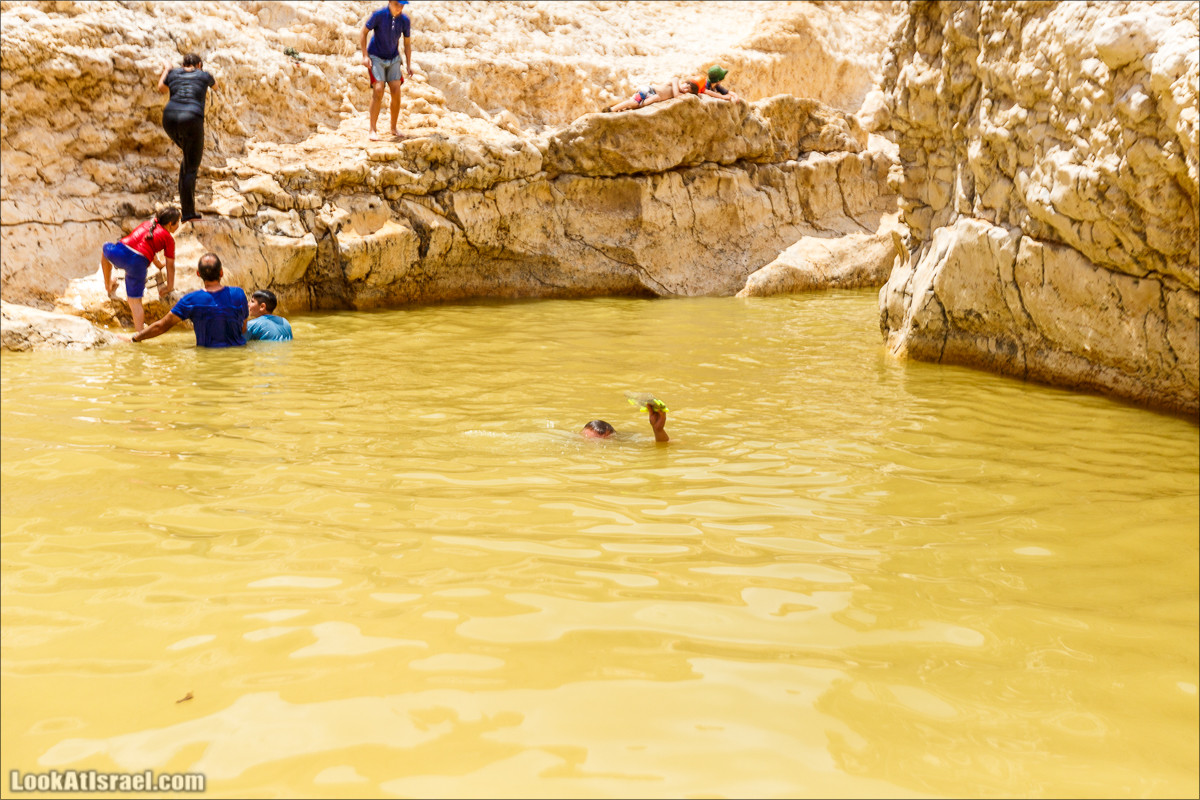 Гора Саароним, ручей Некарот и вода в ущелье Парсат Некарот | LookAtIsrael.com - Фото путешествия по Израилю