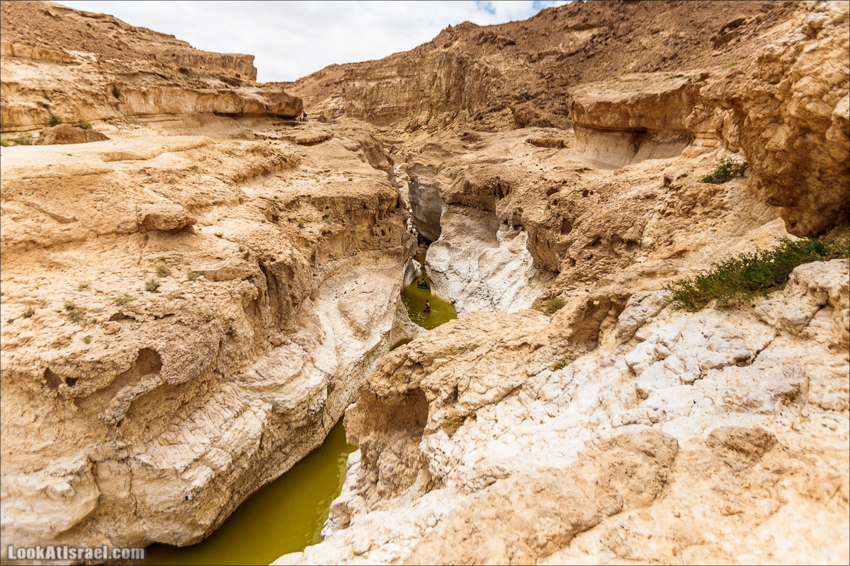 Гора Саароним, ручей Некарот и вода в ущелье Парсат Некарот | LookAtIsrael.com - Фото путешествия по Израилю