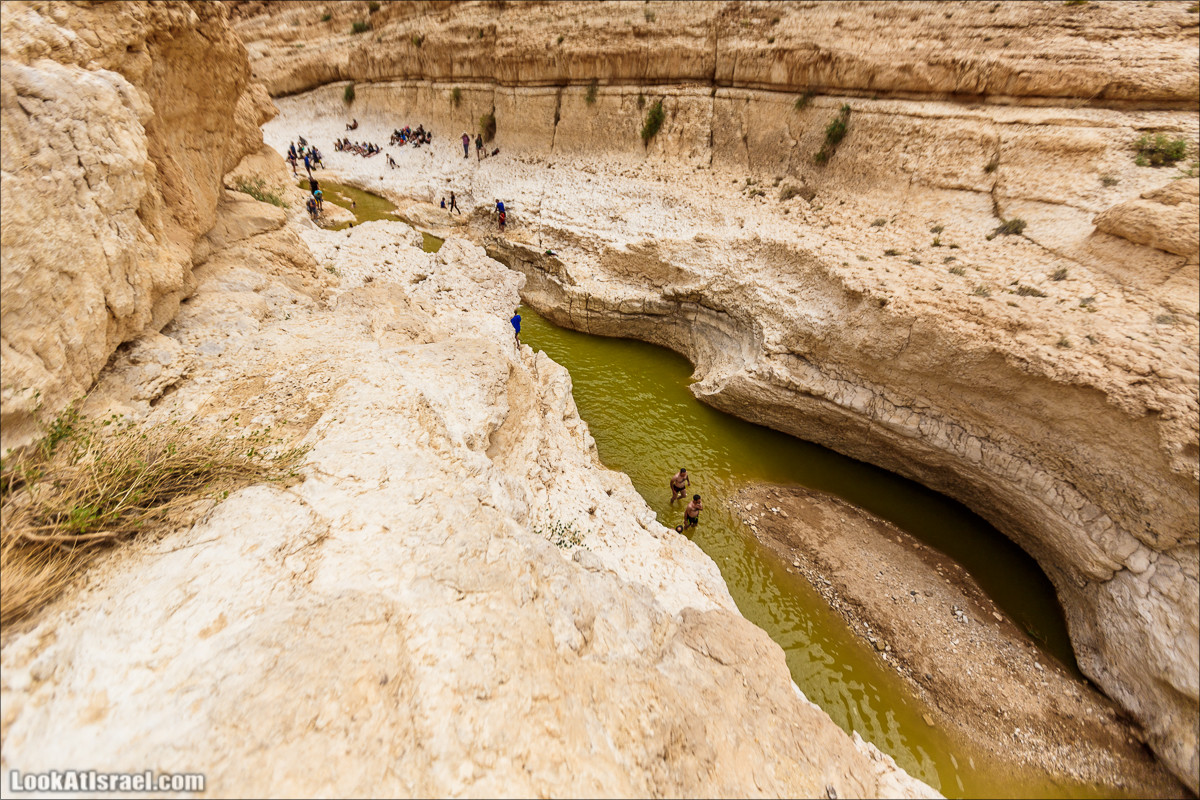 Гора Саароним, ручей Некарот и вода в ущелье Парсат Некарот | LookAtIsrael.com - Фото путешествия по Израилю