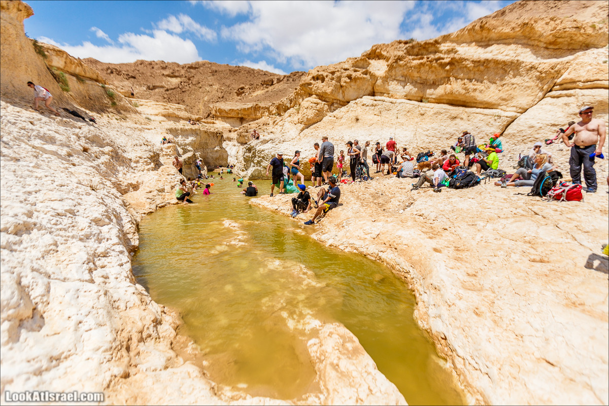 Гора Саароним, ручей Некарот и вода в ущелье Парсат Некарот | LookAtIsrael.com - Фото путешествия по Израилю