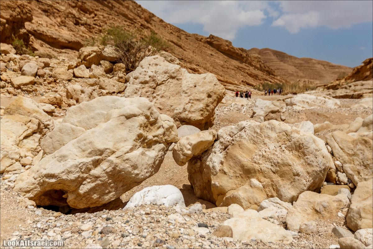 Гора Саароним, ручей Некарот и вода в ущелье Парсат Некарот | LookAtIsrael.com - Фото путешествия по Израилю
