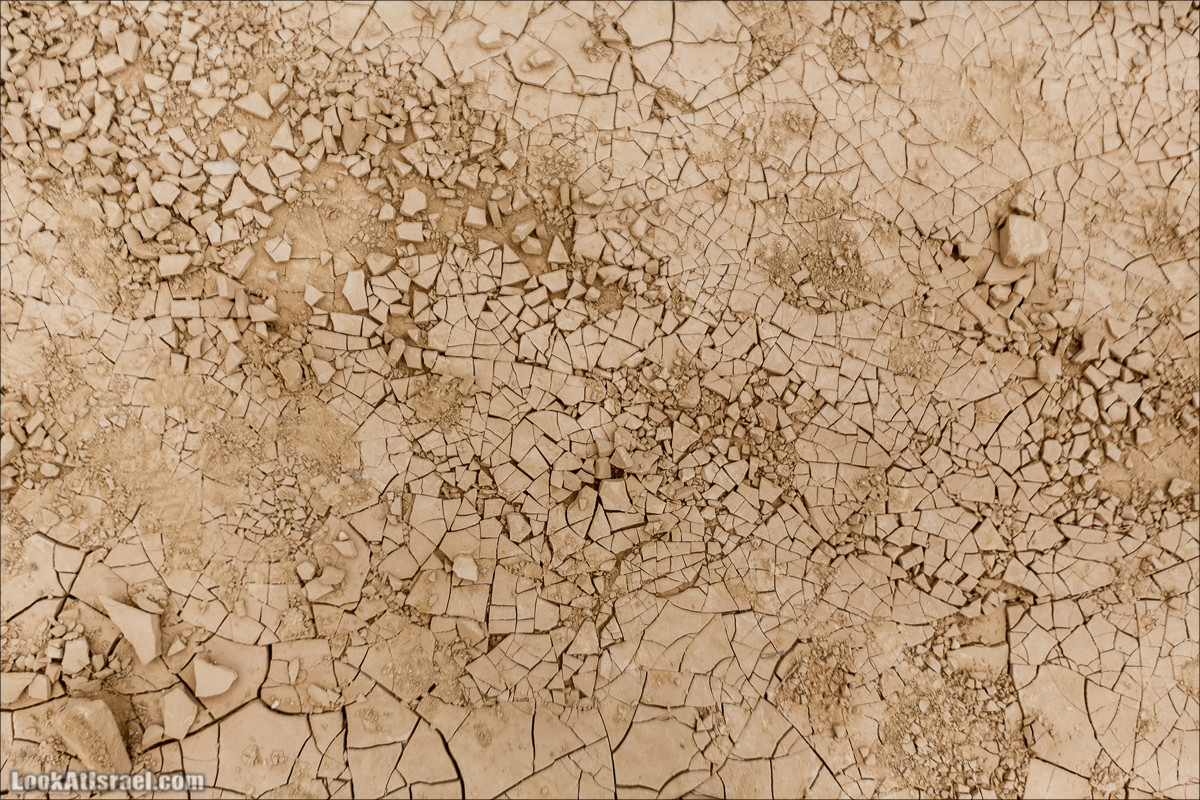 Гора Саароним, ручей Некарот и вода в ущелье Парсат Некарот | LookAtIsrael.com - Фото путешествия по Израилю