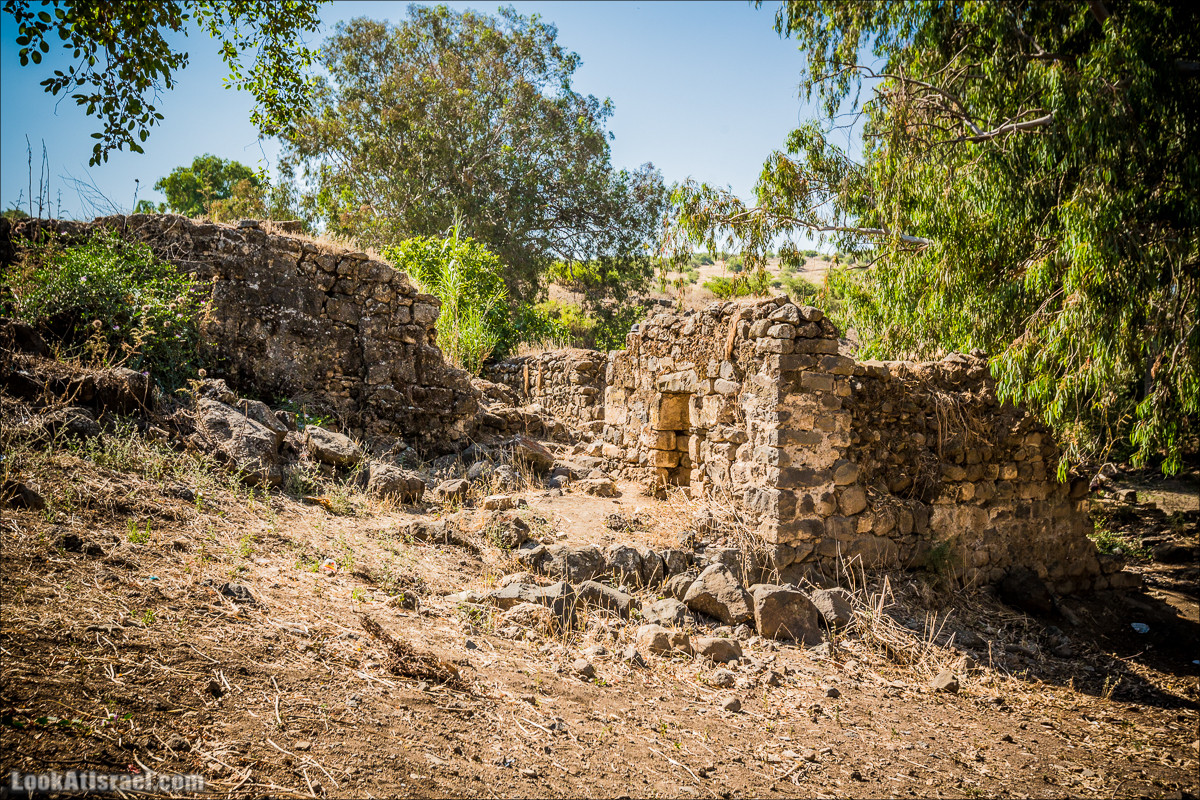 Пеший маршрут Горный Иордан | ירדן הררי | LookAtIsrael.com - Фото путешествия по Израилю