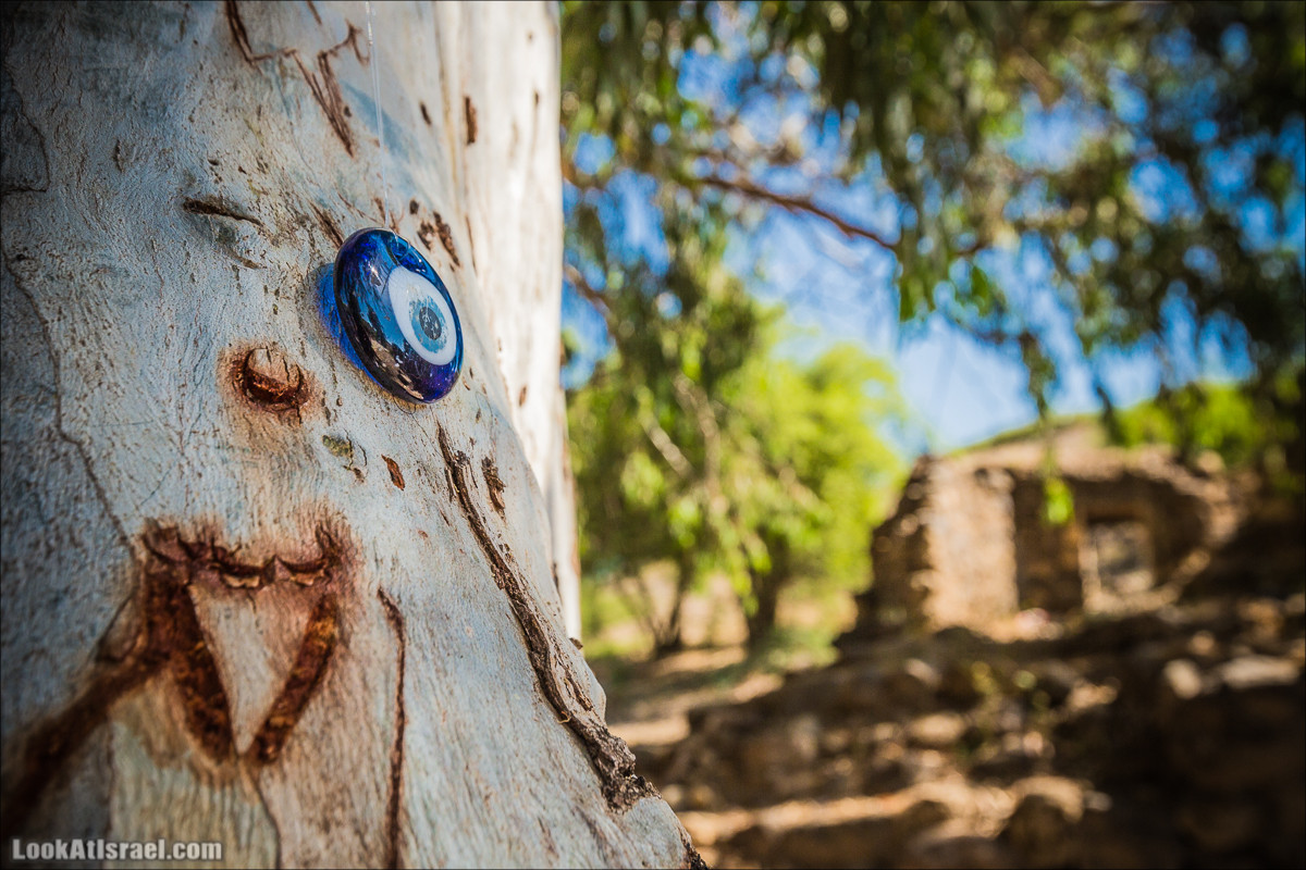 Пеший маршрут Горный Иордан | ירדן הררי | LookAtIsrael.com - Фото путешествия по Израилю
