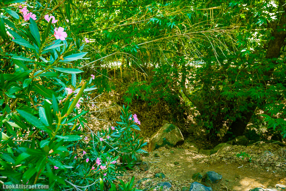 Пеший маршрут Горный Иордан | ירדן הררי | LookAtIsrael.com - Фото путешествия по Израилю