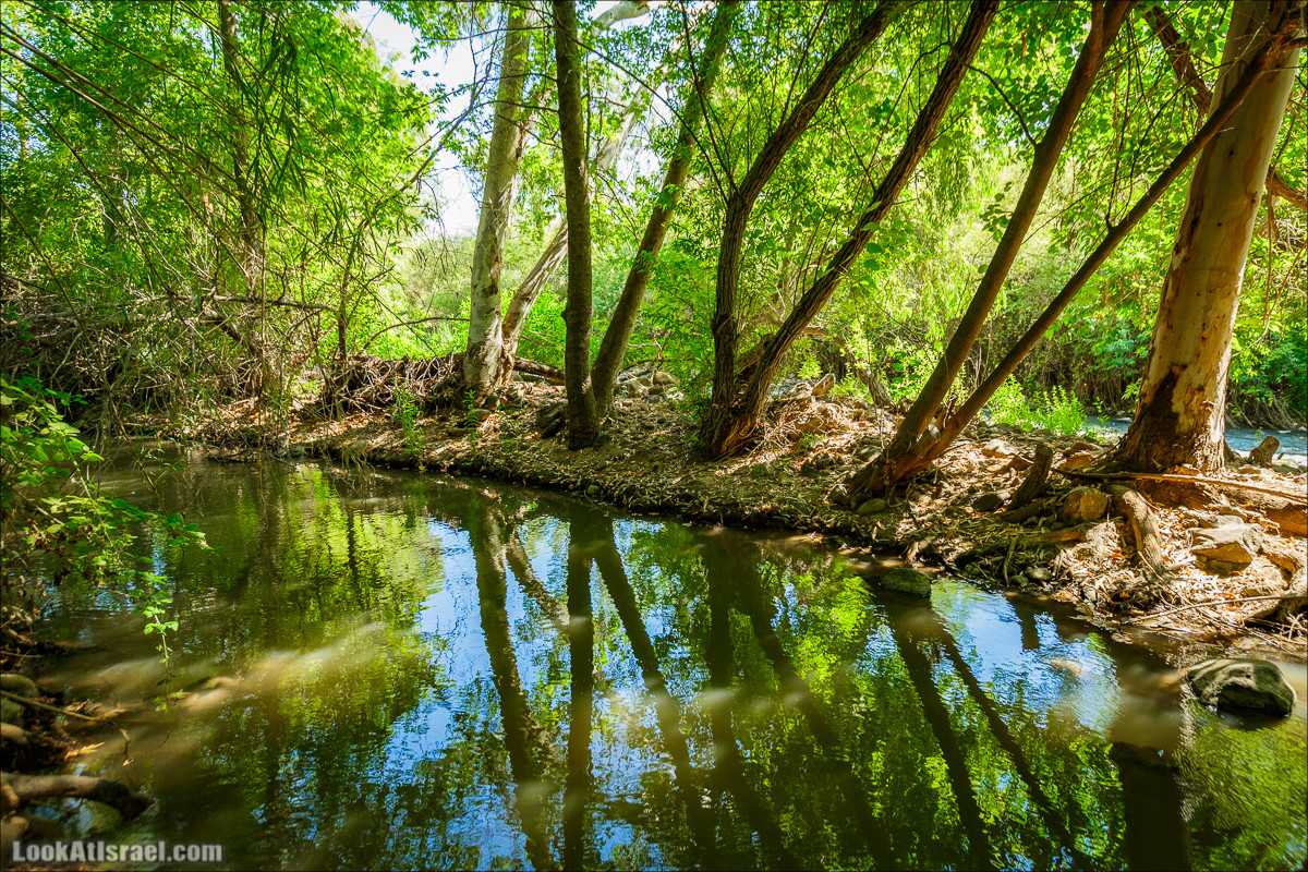 Пеший маршрут Горный Иордан | ירדן הררי | LookAtIsrael.com - Фото путешествия по Израилю
