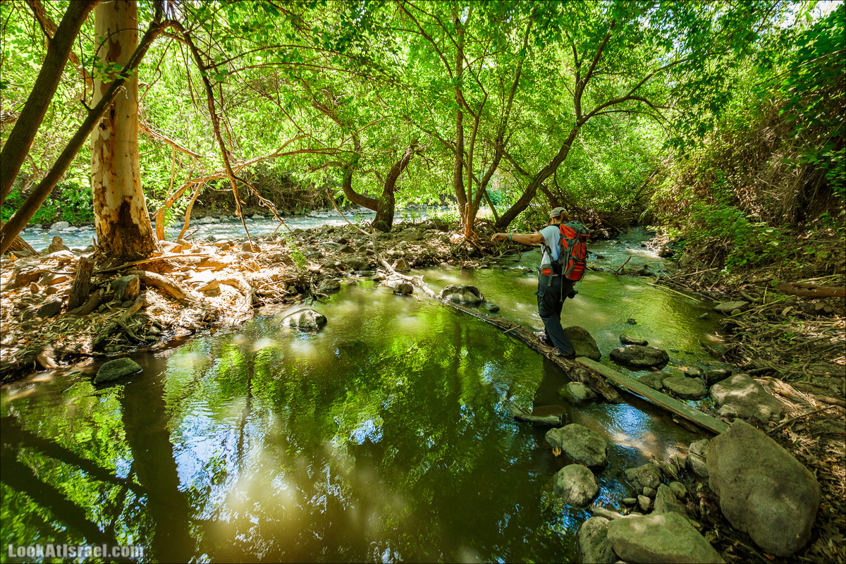 Пеший маршрут Горный Иордан | ירדן הררי | LookAtIsrael.com - Фото путешествия по Израилю