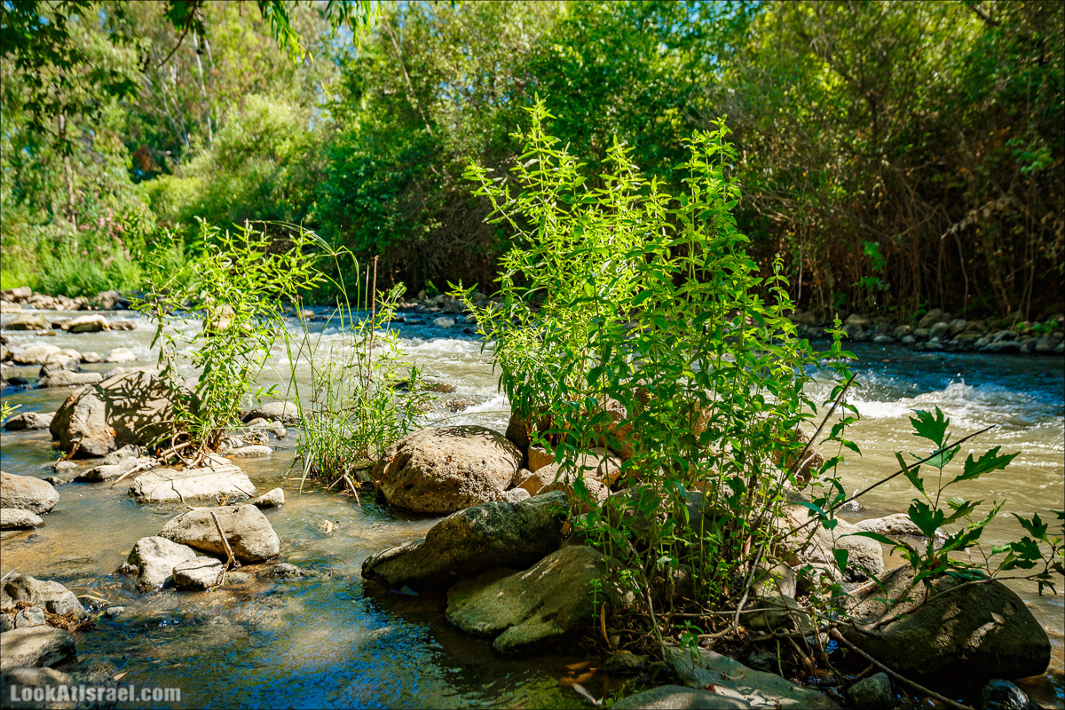 Пеший маршрут Горный Иордан | ירדן הררי | LookAtIsrael.com - Фото путешествия по Израилю