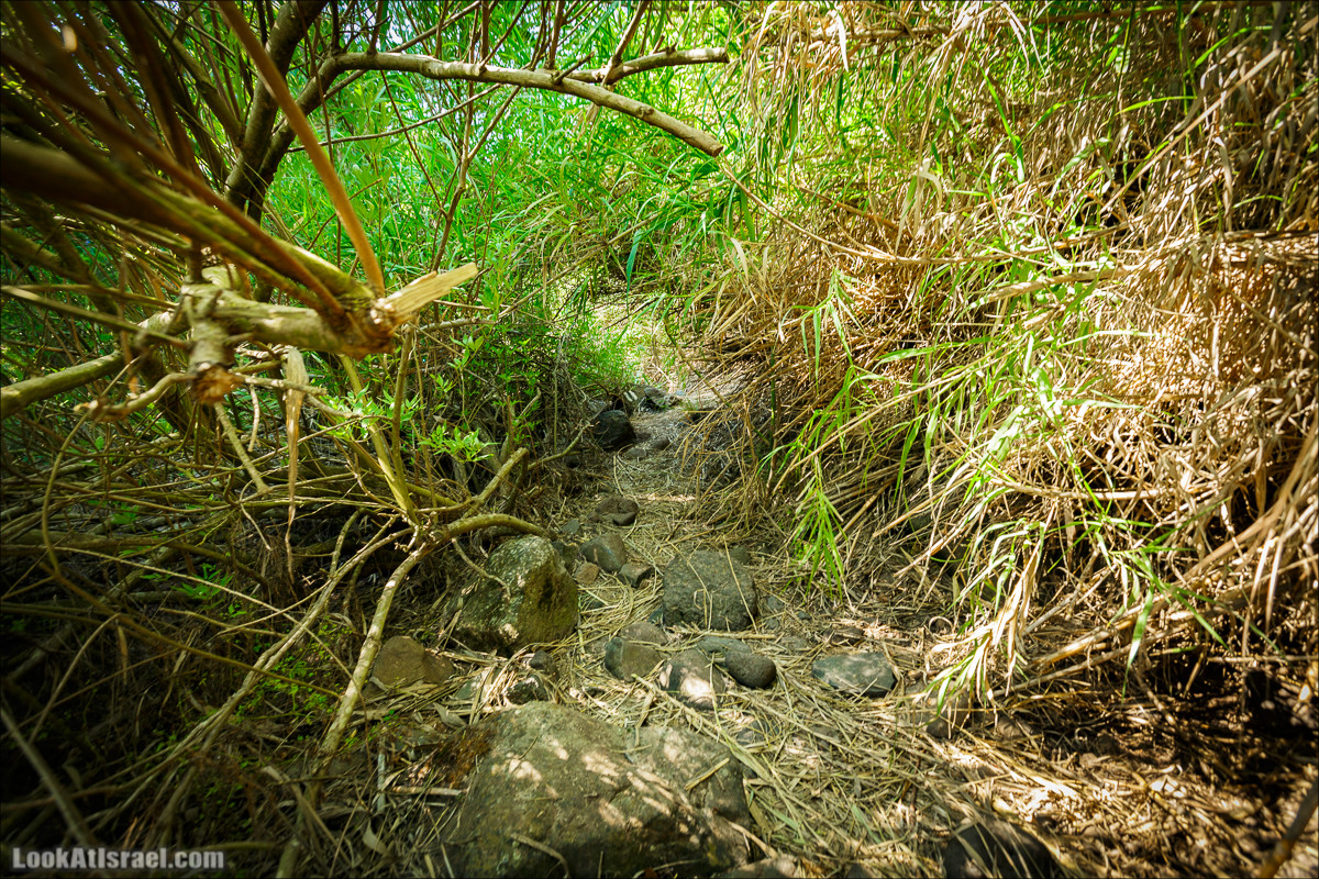 Пеший маршрут Горный Иордан | ירדן הררי | LookAtIsrael.com - Фото путешествия по Израилю