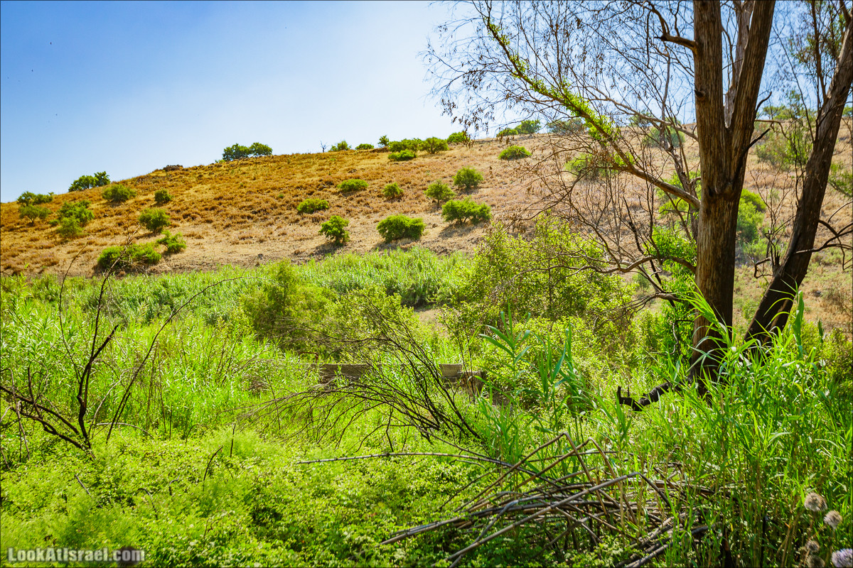 Пеший маршрут Горный Иордан | ירדן הררי | LookAtIsrael.com - Фото путешествия по Израилю