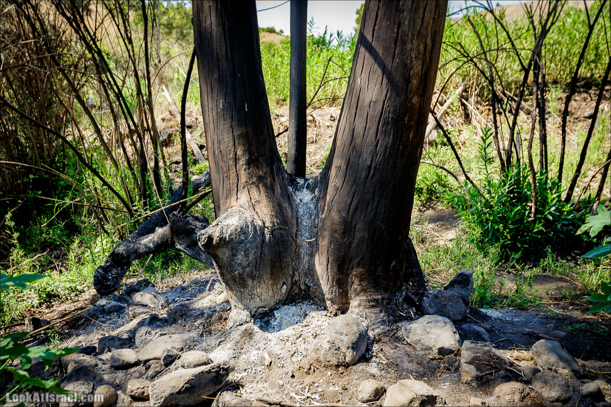Пеший маршрут Горный Иордан | ירדן הררי | LookAtIsrael.com - Фото путешествия по Израилю