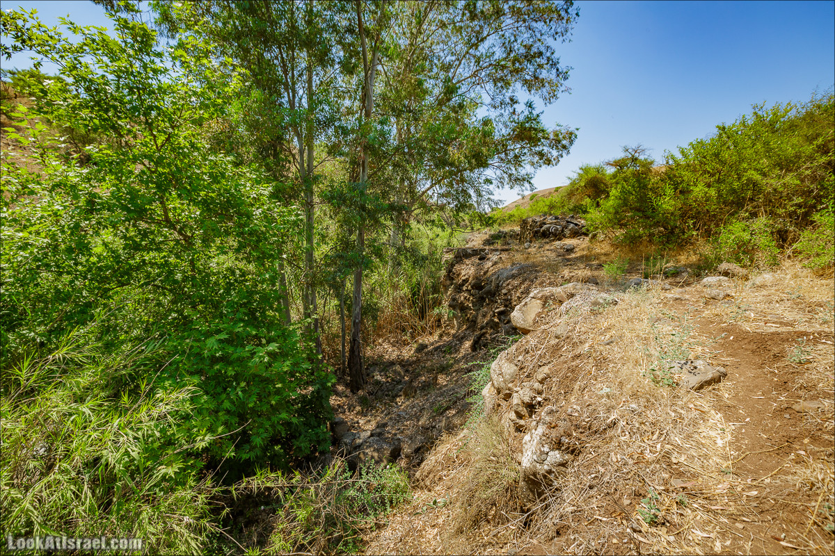 Пеший маршрут Горный Иордан | ירדן הררי | LookAtIsrael.com - Фото путешествия по Израилю