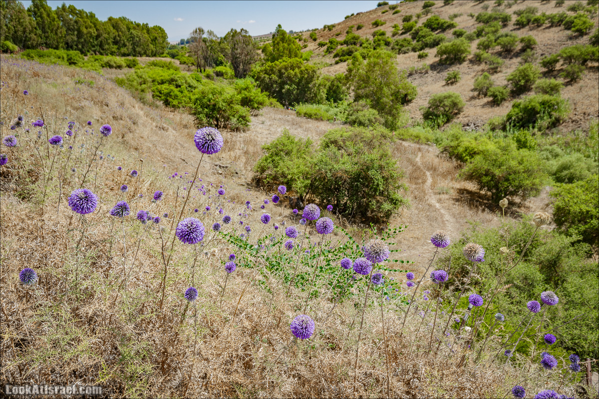 Пеший маршрут Горный Иордан | ירדן הררי | LookAtIsrael.com - Фото путешествия по Израилю