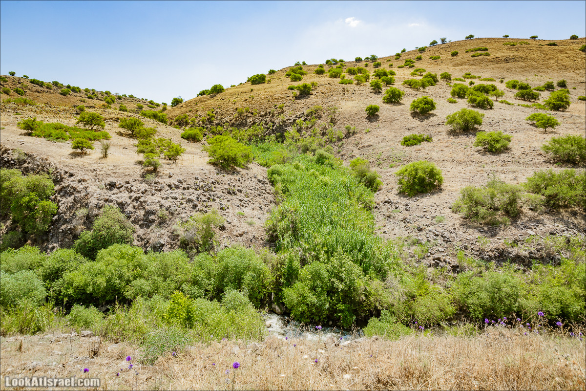 Пеший маршрут Горный Иордан | ירדן הררי | LookAtIsrael.com - Фото путешествия по Израилю