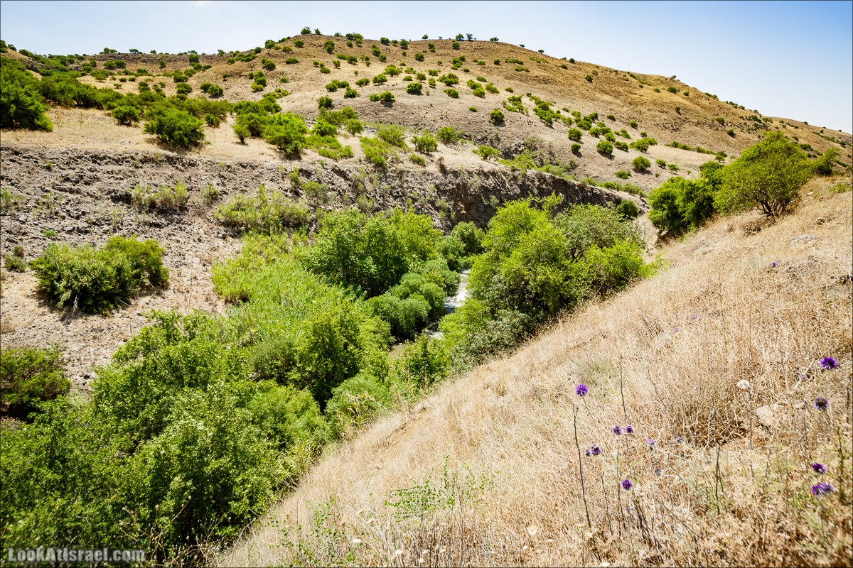 Пеший маршрут Горный Иордан | ירדן הררי | LookAtIsrael.com - Фото путешествия по Израилю