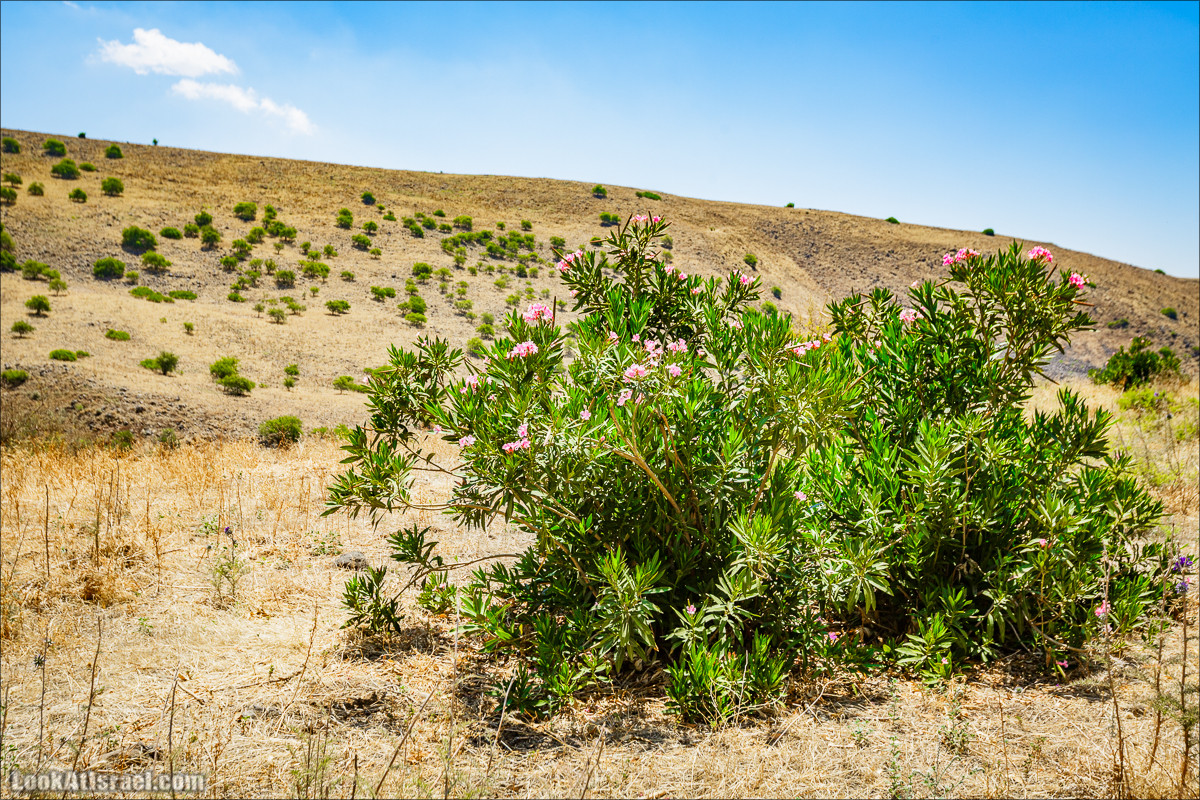 Пеший маршрут Горный Иордан | ירדן הררי | LookAtIsrael.com - Фото путешествия по Израилю
