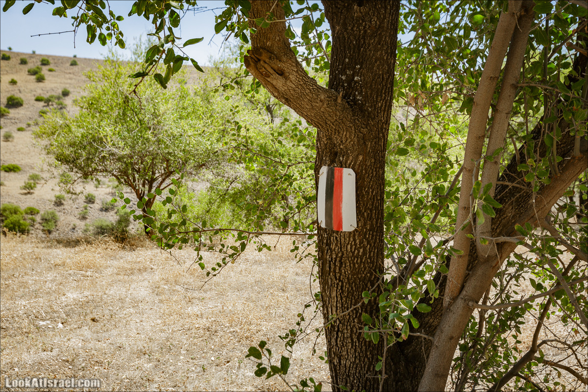 Пеший маршрут Горный Иордан | ירדן הררי | LookAtIsrael.com - Фото путешествия по Израилю
