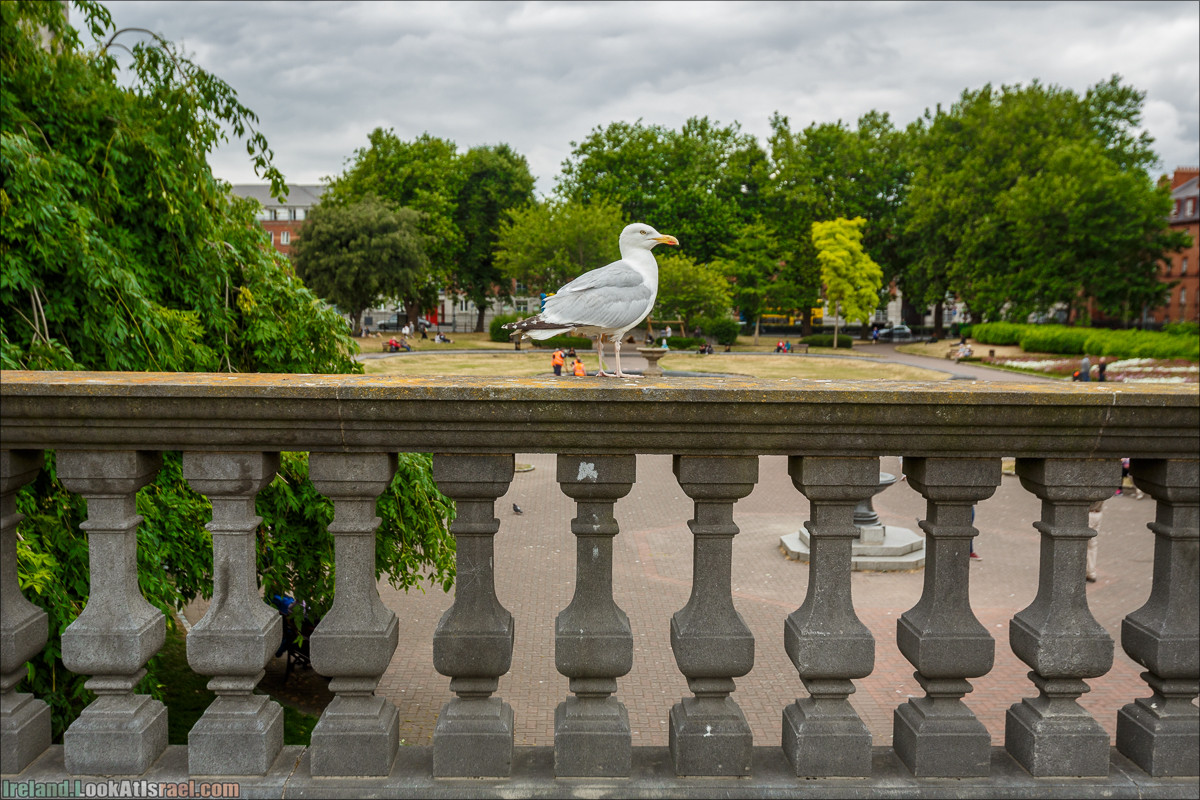 Дублин, Темпл бар, дублинская игла, церковь Патрика, дублинский замок, река Лиффи, Тринити колледж - LookAtIsrael.com путешествует по Ирландии