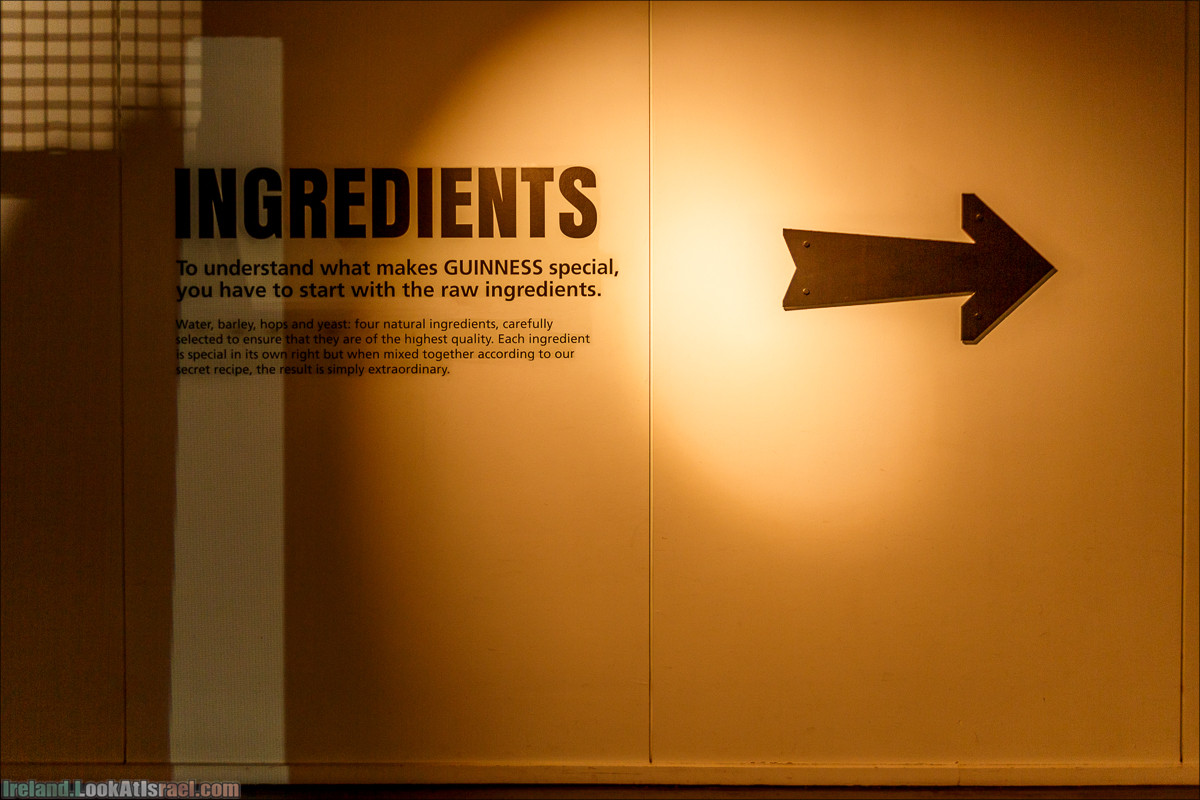 Дублин, пивоварня Гиннесс Guinness и вискокурня Джеймсон Jameson - LookAtIsrael.com путешествует по Ирландии