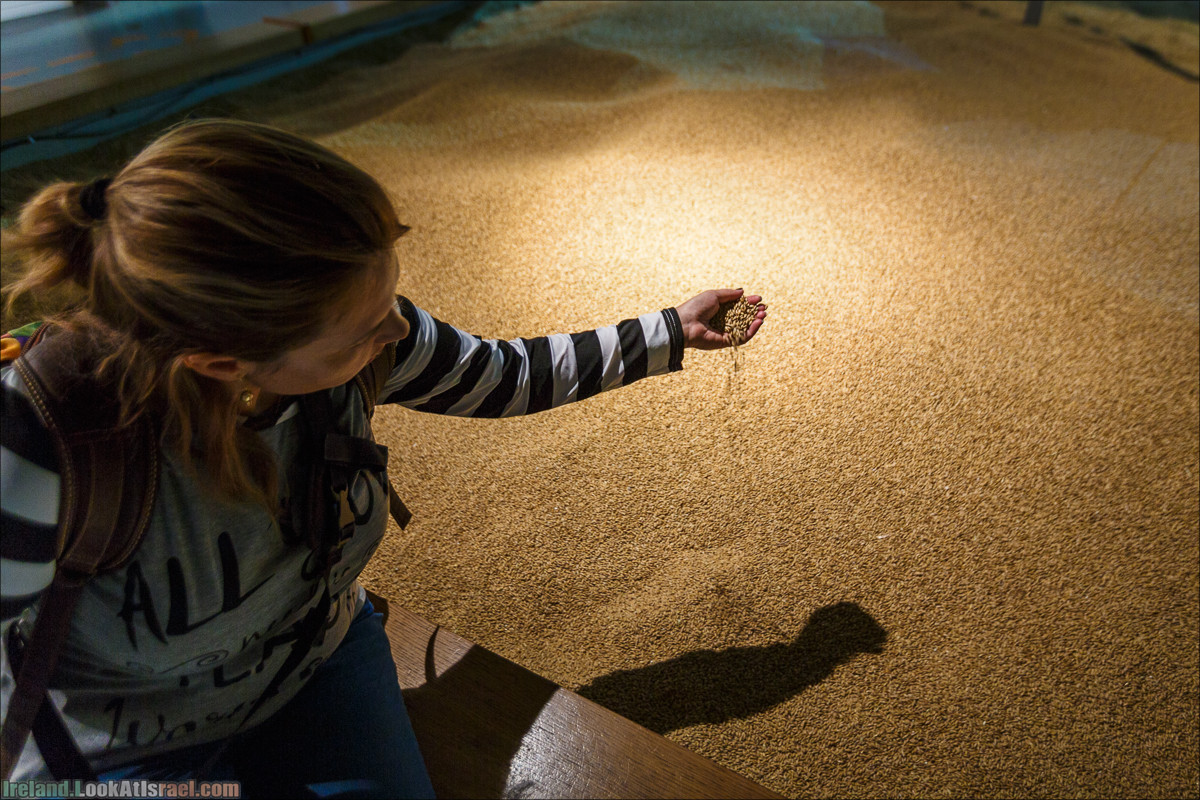 Дублин, пивоварня Гиннесс Guinness и вискокурня Джеймсон Jameson - LookAtIsrael.com путешествует по Ирландии