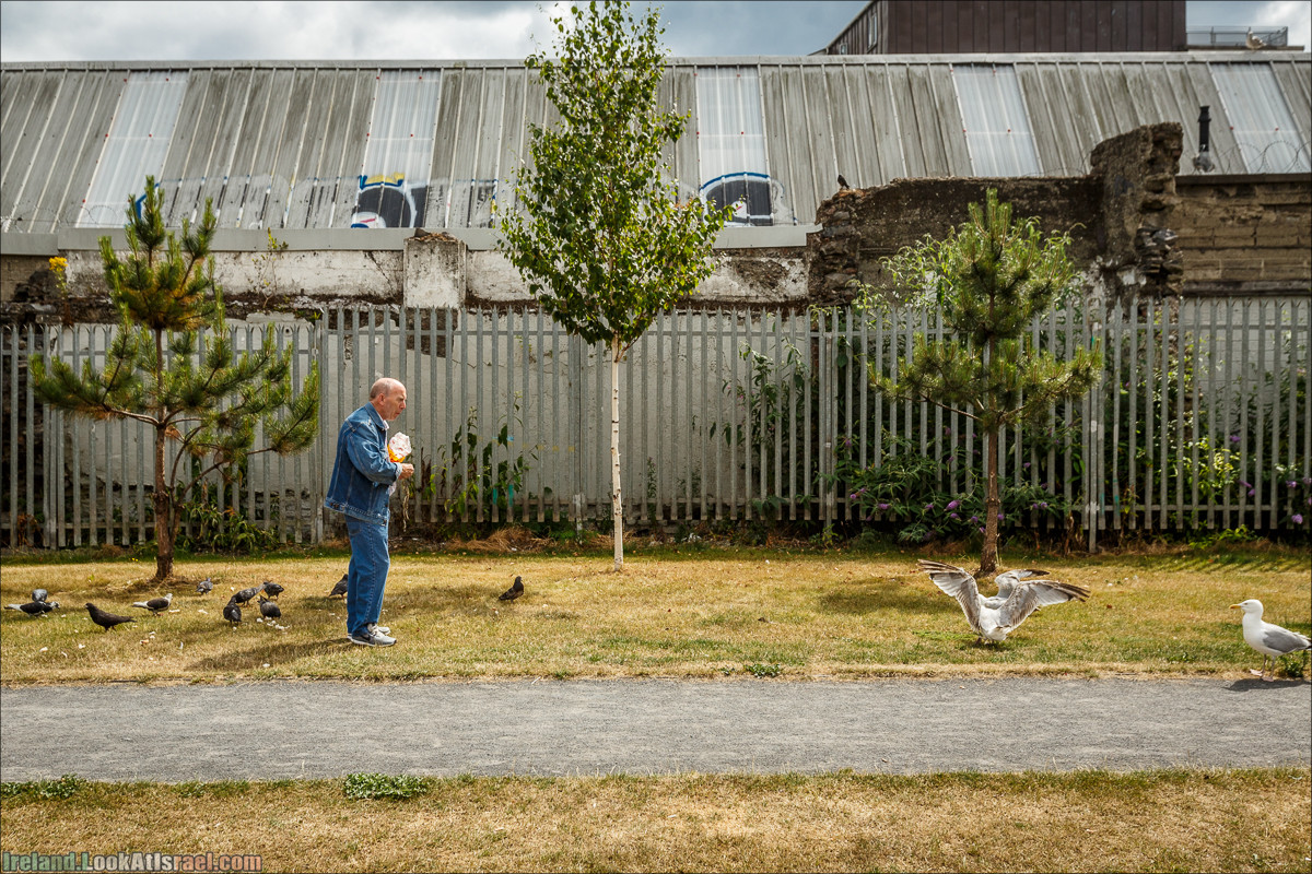 Дублин, пивоварня Гиннесс Guinness и вискокурня Джеймсон Jameson - LookAtIsrael.com путешествует по Ирландии