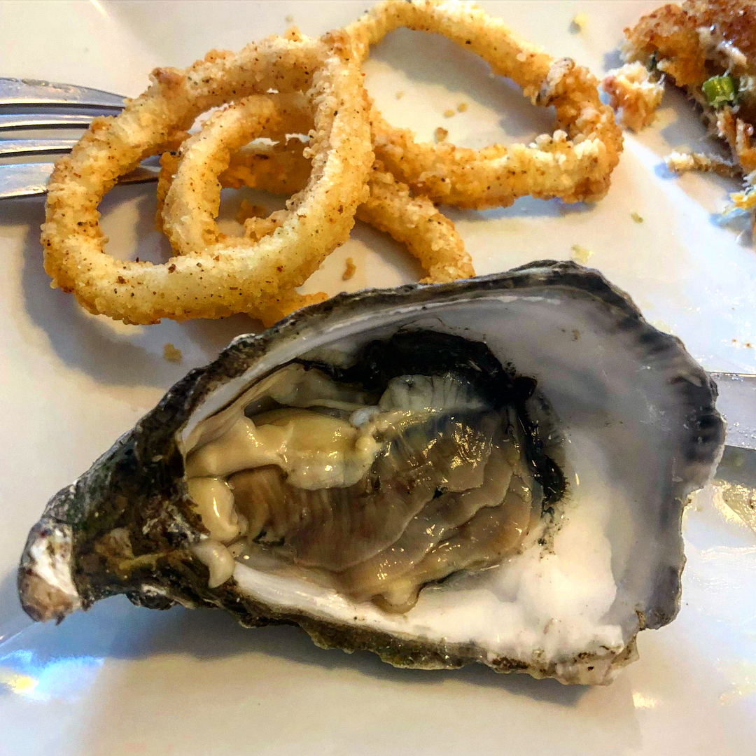 Полуостров Хоут (Howth) и остров Глаз Ирландии (Ирландский глаз) Ireland's Eye, Замок Хоут (Howth Castle) - LookAtIsrael.com путешествует по Ирландии