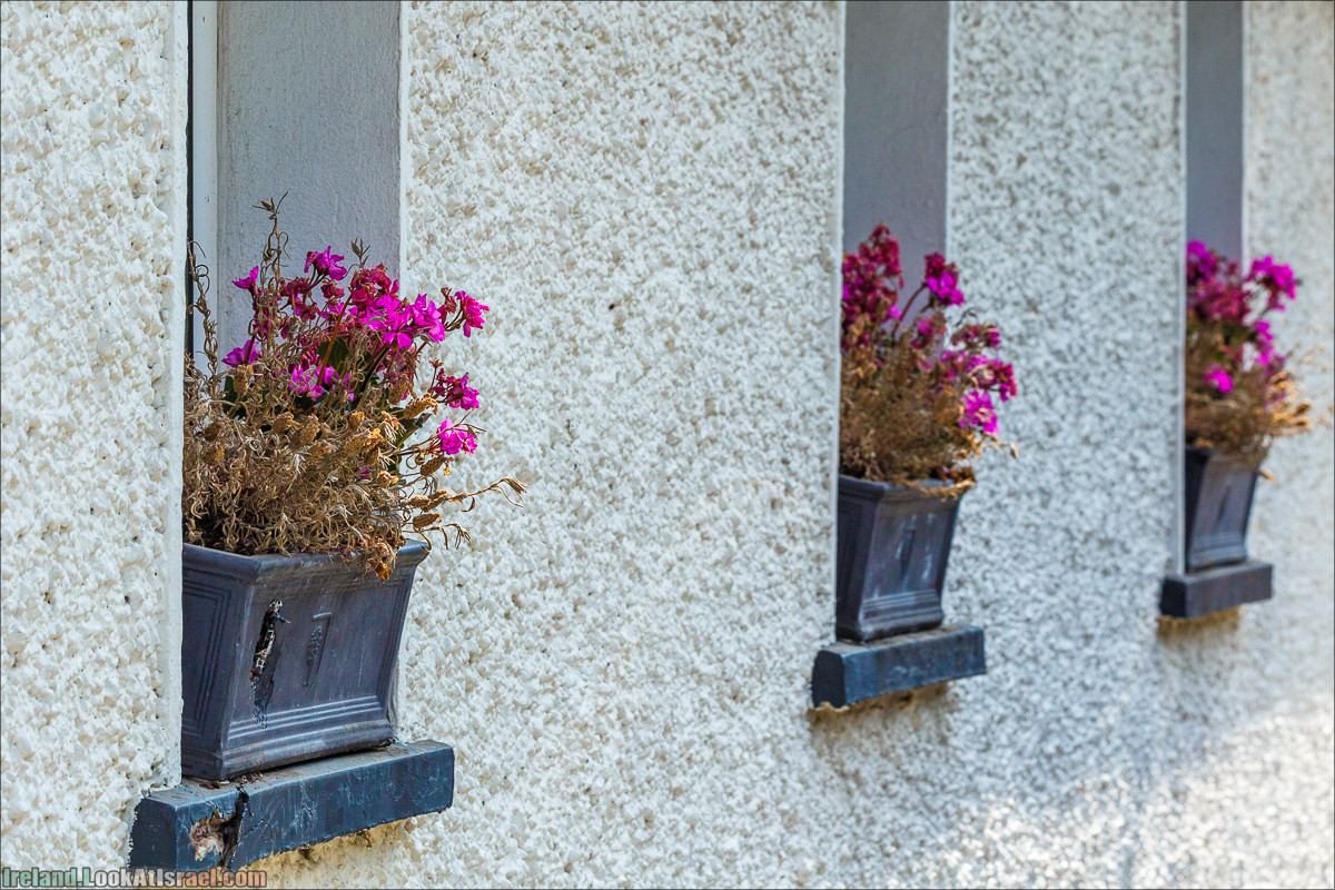Полуостров Хоут (Howth) и остров Глаз Ирландии (Ирландский глаз) Ireland's Eye, Замок Хоут (Howth Castle) - LookAtIsrael.com путешествует по Ирландии