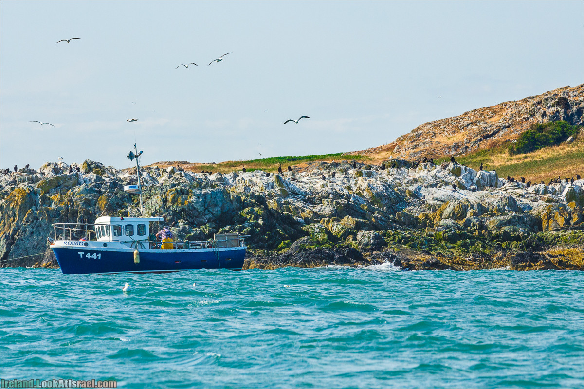 Полуостров Хоут (Howth) и остров Глаз Ирландии (Ирландский глаз) Ireland's Eye, Замок Хоут (Howth Castle) - LookAtIsrael.com путешествует по Ирландии