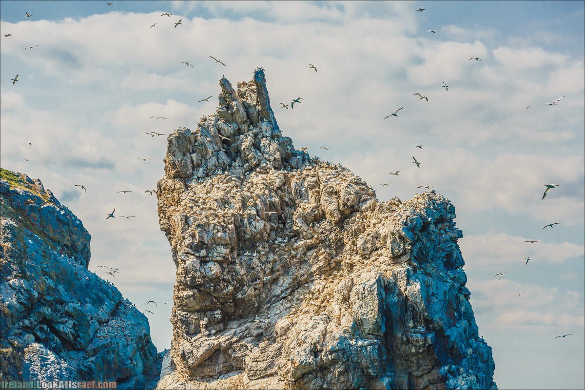 Полуостров Хоут (Howth) и остров Глаз Ирландии (Ирландский глаз) Ireland's Eye, Замок Хоут (Howth Castle) - LookAtIsrael.com путешествует по Ирландии
